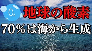 森林だけじゃない。酸素は海から70％生成されているんです！