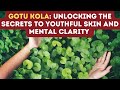 THE BENEFITS OF GOTU KOLA FOR HEALTH: Centella Asiatica