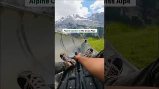 Insane Mountain Coaster in Switzerland with the view of Swiss Alps🇨🇭