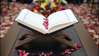 Beautiful Quran Recitation | No Ads | Non stop Quran Recitation | 50 Surah in One Video