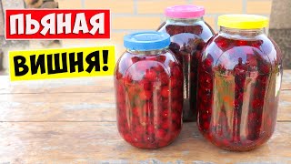 НАСТОЙКА НА ВИШНЕ 🍒 Простой Рецепт Вишневой настойки (наливки)