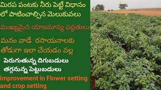 best way in water management | best tips | in chill crop | in mirchi crop | cultivation | farming