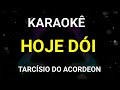 Karaokê - Hoje dói -  Tarcísio do Acordeon - KARAOKE VINY TECLAS