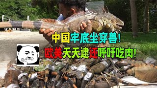 中國牢底坐穿獸，美國天天逮！網友：哪瀕危了？明明泛濫！