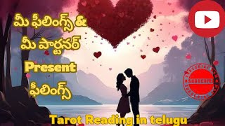 మీ ఫీలింగ్స్💯 \u0026 మీ పార్టనర్ ప్రెసెంట్💌 ఫీలింగ్స్❤️|Tarot Reading in  telugu