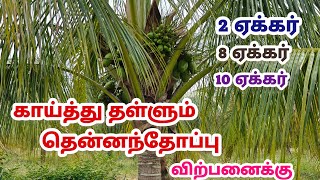 நல்ல வருமானம் தரும் 20 ஏக்கர் தென்னந்தோப்பு விற்பனைக்கு புதூர் 2 ஏக்கர் தனியாக கிடைக்கும்