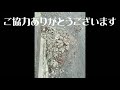 波情報　2021年１月28日（木）千葉南　館山平砂浦海岸　開運波乗り店舗　白浜観光案内所