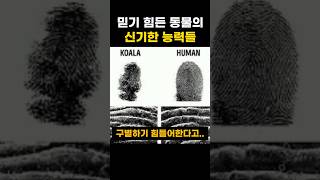 믿기 힘든 동물의 신기한 능력들