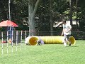 洛杉磯寵物狗越野障礙賽 los angeles dog olympic running contest 20