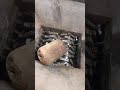 非常に危険なシュレッダーガス、シュレッダービデオ shredding machine 66 very dangerous shredding gas shredder video