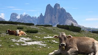 Naturparadies Plätzwiese / Pragser Dolomiten