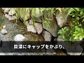 【感動する話】上司に裏切られ田舎の支店に左遷された俺。仕事帰りに立ち寄った店で料理人の女性と仲良くなった…ある日、店が経営難で倒産の事態に！俺が厨房に入り料理を始めると驚きの出来事が…【泣ける話】