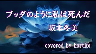 坂本冬美　桑田佳祐【ブッダのように私は死んだ】（歌詞付き）（Cover）