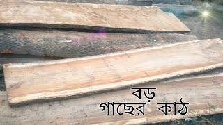 বড় গাছের কাঠ। রেন্ডি কাঠ। বড় গাছের সার কাঠ দিয়ে ফার্নিচার ও বাড়ি তৈরি করা ভালো।