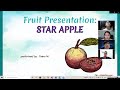 Class 2 - AVHT - Group 14 - TOPIC: STAR APPLE