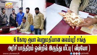 6 கோடி ரூபா பெறுமதியான வலம்புரி சங்கு அரிசி பாத்திரம் ஒன்றில் இருந்து மீட்பு