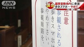 ポケモンGO国会にも・・・衆議院で「歩きスマホやめて」(16/07/28)