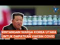 Rintangan Warga Korea Utara untuk Mendapatkan Vaksin Covid-19