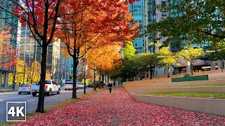 【4K】Vancouver Walk| Georgia Street from Stanley Park to BC Place Canada (Binaural City Sounds)