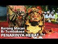 2.3 M VIEWS BARONG MACAN BALI - Tegallalang Gianyar