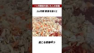 1ヵ月朝朝食を抜くと起こる奇跡4つ#医療 #健康 #健康診断 #病気 #予防医療 #予防医学 #予防 #雑学#オートファジー