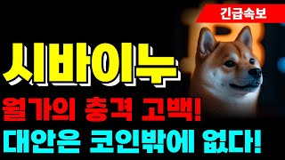 [시바이누 코인 전망] 월가의 충격 고백! 대안은 코인밖에 없다!