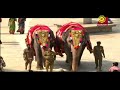 sri malahanikareshwara rathotsava live sringeri