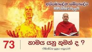 කාමය යනු කුමක් ද ? (නිබ්බේධික සූත‍්‍රය ඇසුරෙන්) - Appamadena Sampadetha 73