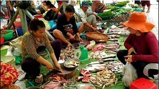 Phnom Penh Wet Market Foods And Homemade Fried Eel - Amazing Foods