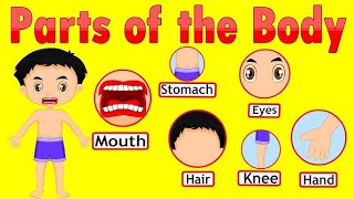 Kids vocabulary - Body - parts of the body - Learn English for kids - English educational video