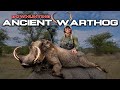 UGANDA Bow Hunting with Sarah Bowmar | 3 EPIC bow kills |