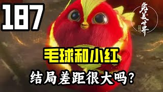 完美世界187：毛球和小红不都是石昊的好兄弟吗？为啥结局差距这么大