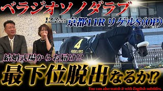 「ベラジオソノダラブ」中央挑戦5戦目「京都11Rリゲルステークス」当日～連続最下位を脱出できるか!?【ベラジオch】