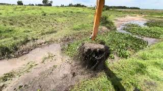 Eficiência no Campo: Escavadeira Hidráulica Remove Acúmulo de Detritos🛑