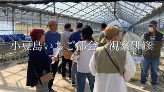 小豆島いちご部会　視察研修　2023/10/23