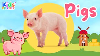 Pigs For Kids | Fun Facts About Pigs for Kids | Learn All About Pigs