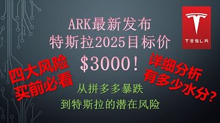 3000美元！ARK特斯拉最新目标价 报告分析 四大风险 拼多多暴跌带来的思考