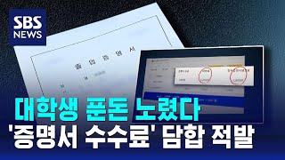 대학생 푼돈 노렸다…'증명서 수수료' 담합 적발 / SBS