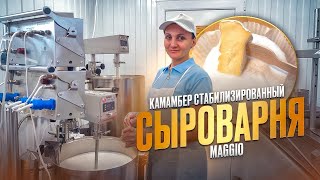 Сыроварня Елисеевых / Как сделать сыр Камамбер стабилизированный / Сыроварня Маджио ( Maggio )