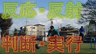 【ある日のGK練習VLOG Vol.37】頭と体を同時に刺激！瞬間の判断を強化しろ！　FC.ISE-SHIMA 編 GKコーチ・キーパーコーチ・ゴールキーパーコーチ・キーパースクール・GKスクール