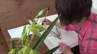 Painting Cymbidium Sinense Orchid with Victoria 03042020