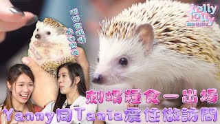 刺蝟糧食一出場 Yanny同Tania震住做訪問｜ Lolly Lolly寵物拯救隊 ｜EP10｜ Lolly Talk ｜ 寵物 ｜ HOY TV