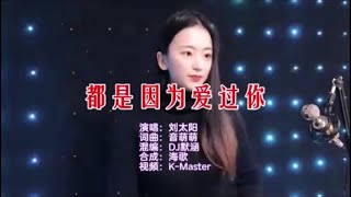 刘太阳 《都是因为爱过你 （DJ默涵版）》KTV 导唱字幕 （备有伴奏视频）