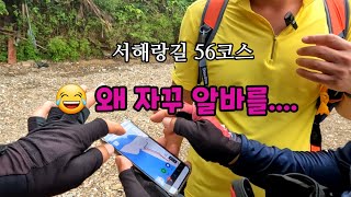 투맨 서해랑길56코스 14.2km #장항송림산림욕장 #맥문동축제 #장항스카이워크 #매바위공원 #코리아둘레길 #걷기여행