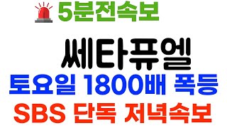 쎄타퓨엘 주말 저녁터졋다! 18000배 폭등! \