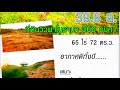 ep.013 ที่ดิน จ.น่าน 39 6 ล.