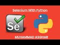 How to switch iframes in selenium python?
