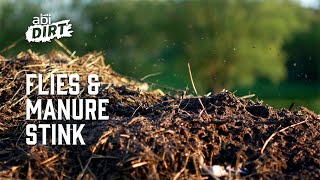 How to Minimize Flies and Manure Stink - ABI Dirt