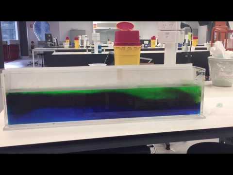 Experiment To Simulate Thermohaline Circulation - YouTube