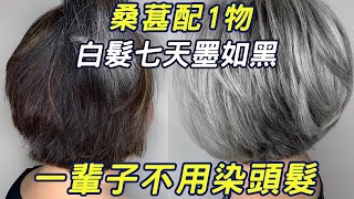 你還在為滿頭白髮苦惱嗎？桑葚配上它，堅持七天，一輩子不會有白髮！ #三味書屋